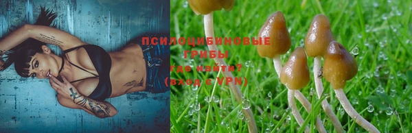 МДПВ Осташков