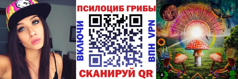 Галлюциногенные грибы Psilocybe  Краснокамск 